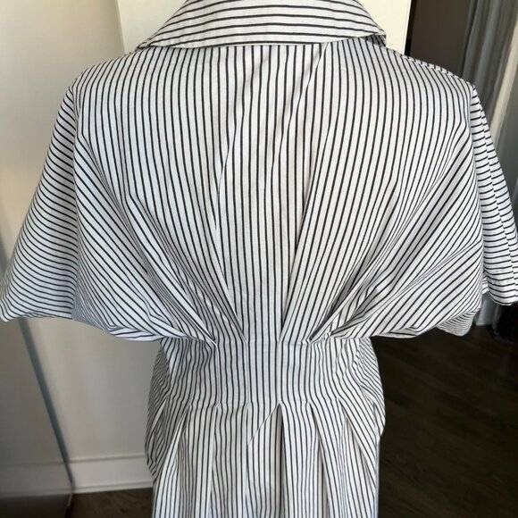 Anthropology The Tobie Button-Front Pleated Shirt Dress by Exquise - Picture 8 of 14
